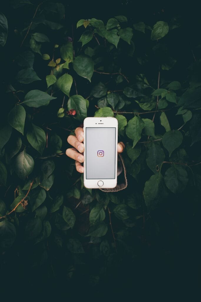 A hand holding a smartphone displaying the Instagram icon amid lush green leaves.